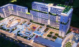 Festival City
